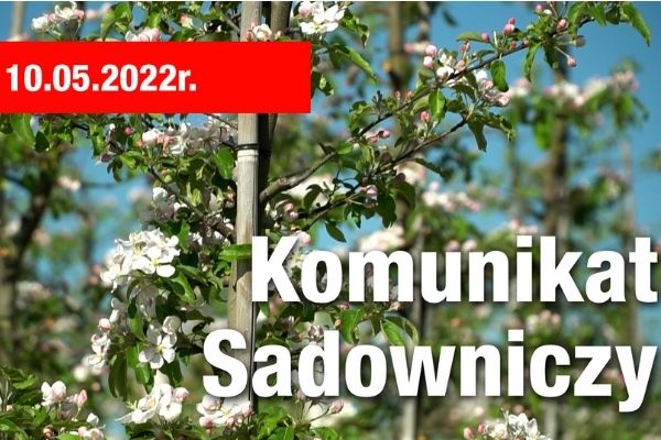 Komunikat sadowniczy 10.05.2022 / przygotowani na presję parcha jabłoni