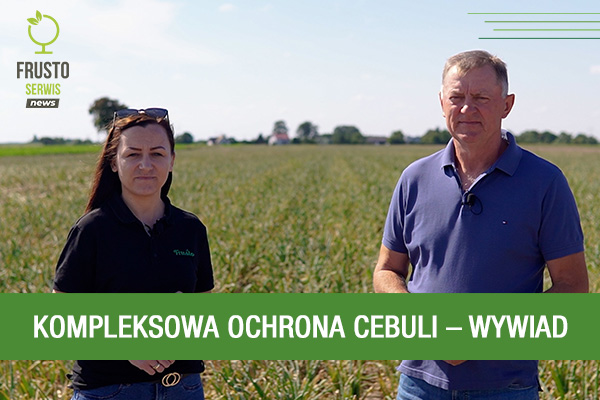 FRUSTO Serwis news // Ochrona cebuli – wywiad z producentem warzyw