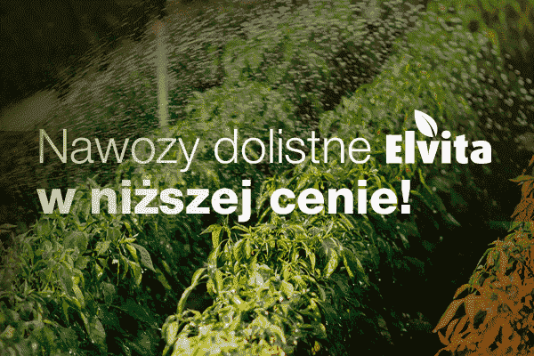 ​Najkorzystniejszy moment na zakup nawozów dolistnych 