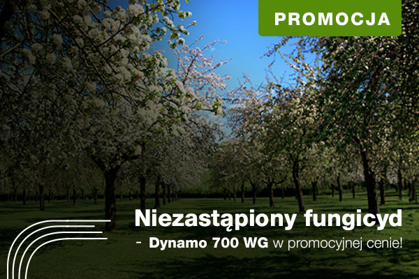 Niezastąpiony fungicyd Dynamo 700 WG w promocyjnej cenie!