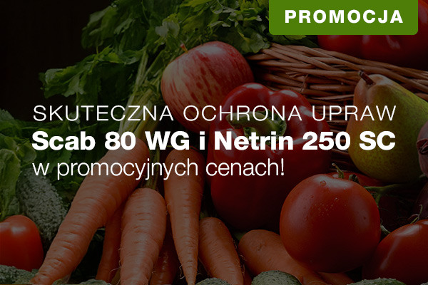 Skuteczna ochrona upraw. Promocyjne ceny!