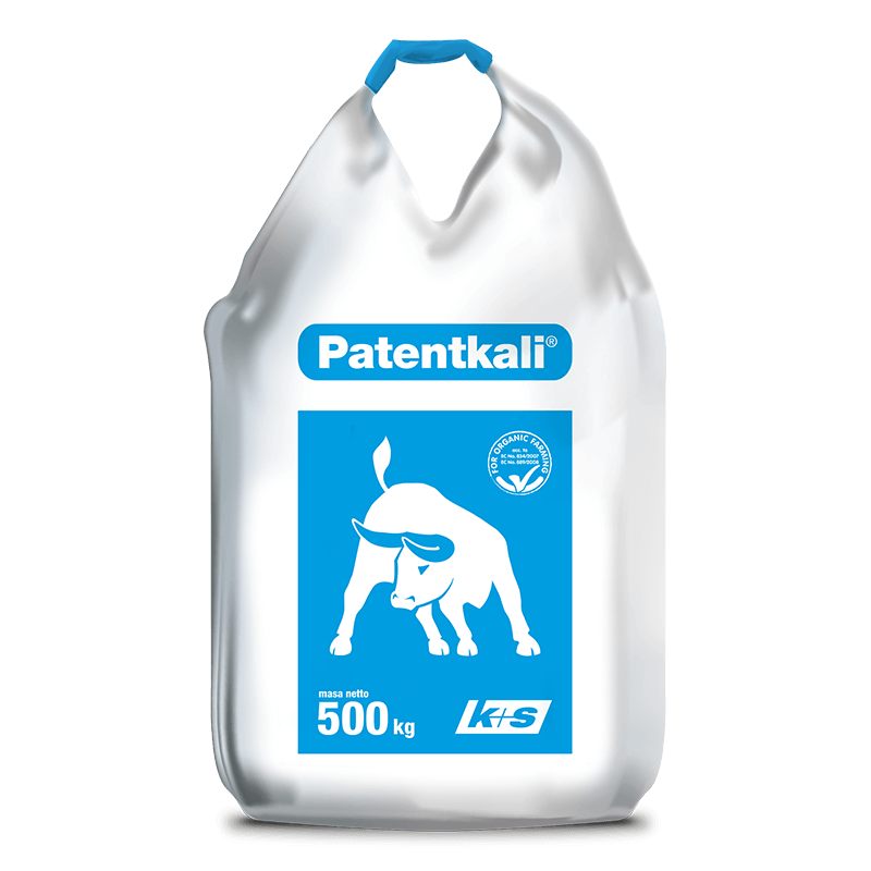 patentkali-500_big.png